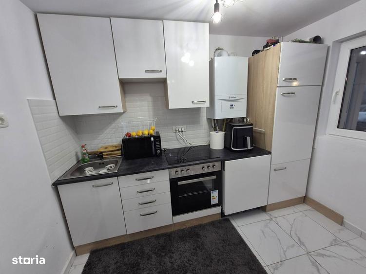 Casa noua de vanzare in Santimbru - Totoi - 1