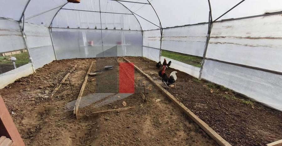 Casa curte cu teren 1600 mp Manolache - 5