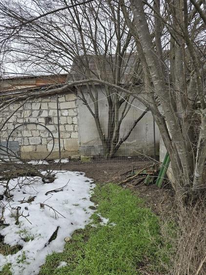 Teren de vanzare in Cornetu - 4