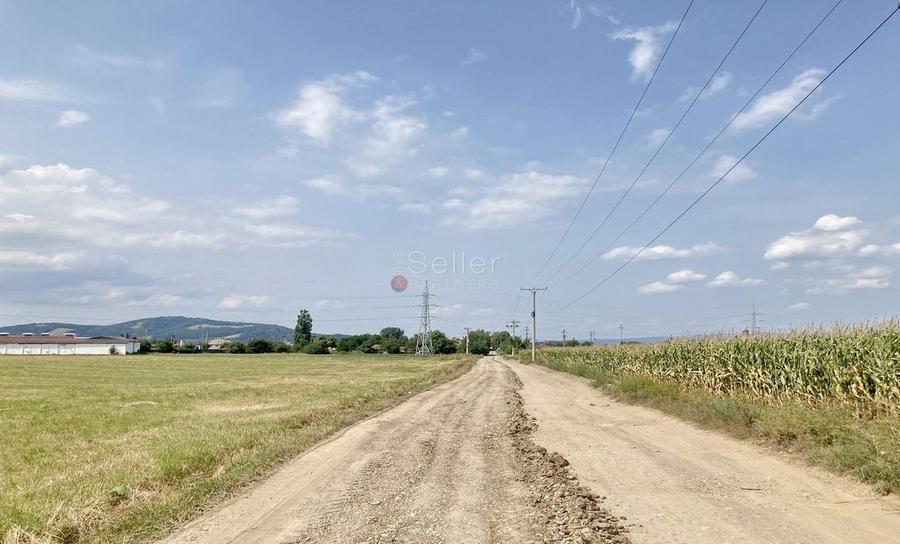 Teren Destinatie Industriala - 24