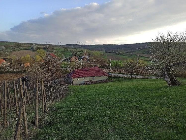 Casa+teren 4000 mp in Arduzel (langa Ulmeni) - 3