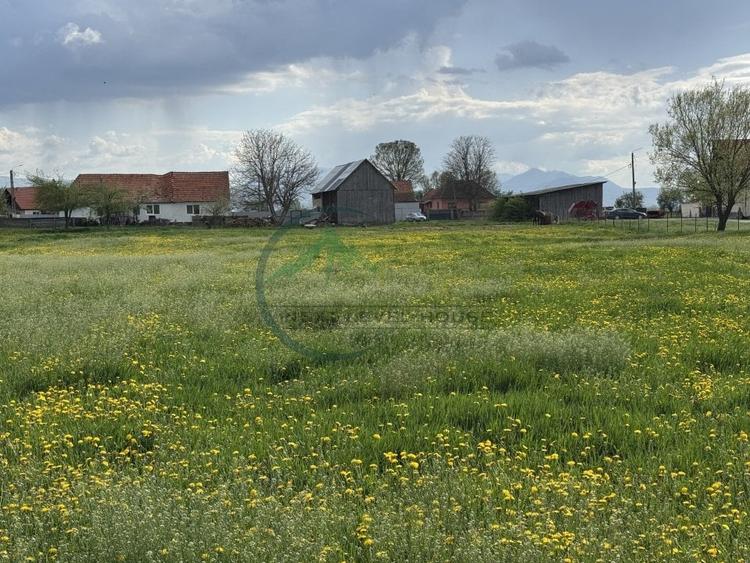 Teren Sat Bacel 6200 mp - 3