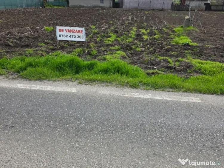 Teren intravilan 1000mp Movilita 40 km de Bucuresti - 6