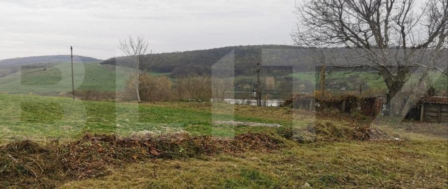 Investitie ! Casa individuala 1 camera, 51 mp, 3000 mp teren, Geaca ! - 5