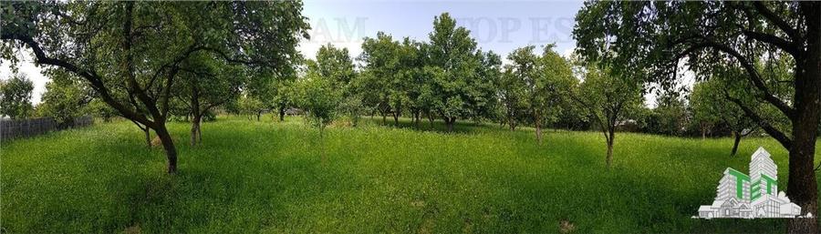 Teren intravilan Campulung - 2.957 mp cu livada, anexa si acces utilitati, Campu - 2