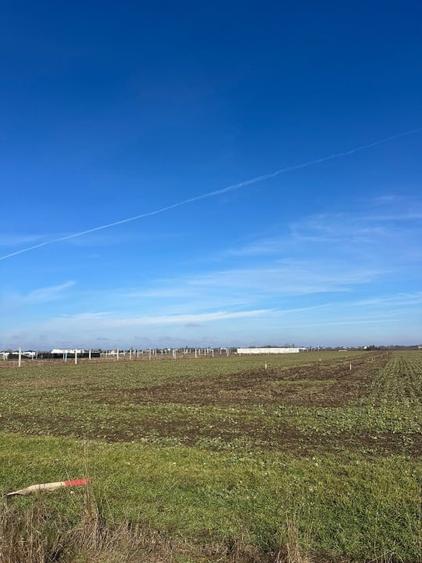 LOTURI TEREN INTRAVILAN – DOMNEȘTI - 1