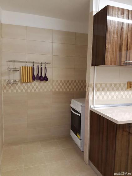 2 cam Berceni vacaresti - 4