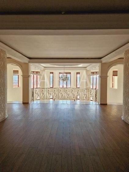 VANZARE VILA | HALA IN VLADICEASCA | SNAGOV | 10.500 MP TEREN - 6