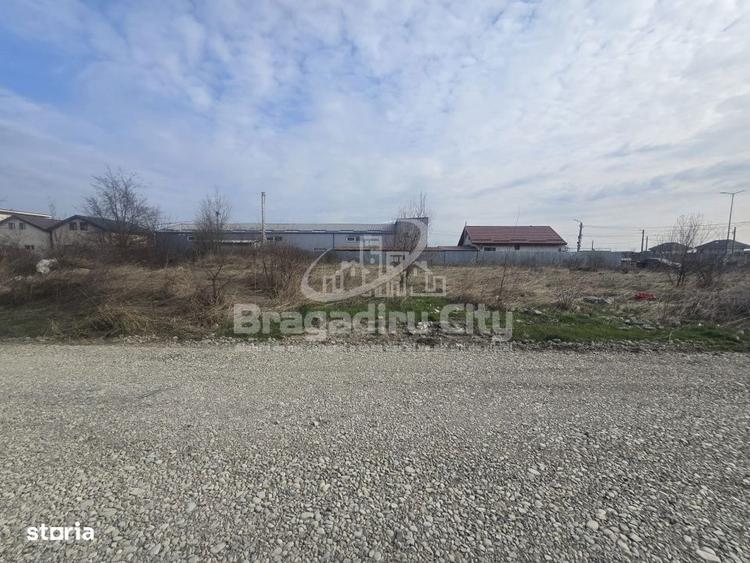 Teren str Topaz 1000mp - 5