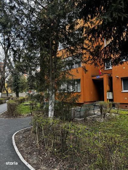 Apartament cu 2 camere, confort II, Dambu Pietros - 1