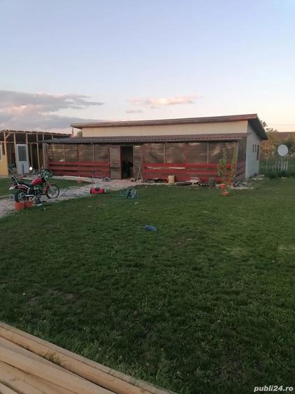 Vand casa de vacanta in MURIGHIOL - 7