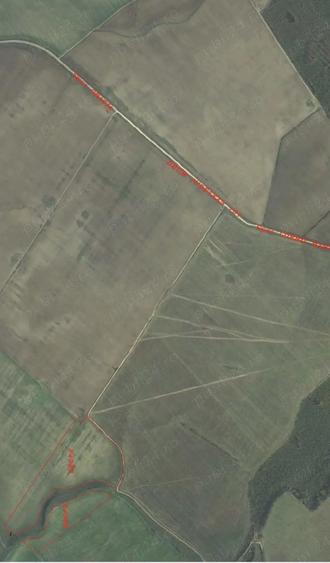 Teren agricol 49 Ha, comuna Gratia DJ 701 Teleorman - 1