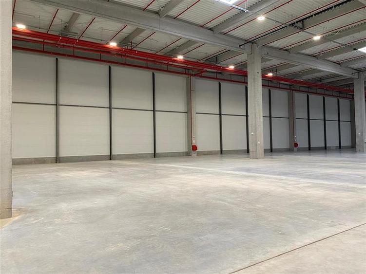 Inchiriere depozit/hala/spatiu industrial Chitila - Centura, Ilfov - 5