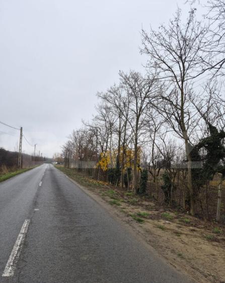 Teren intravilan de vanzare, 2.500 mp, Str Gorunului - 3