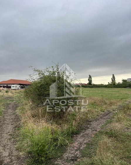 Parcela 707 mp in Sacalaz langa cartierul Primaverii - 6