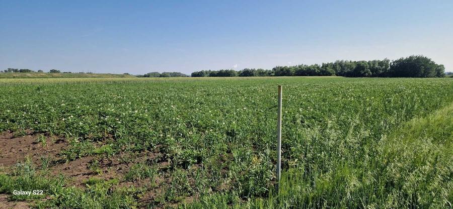 Teren extravilan - 2