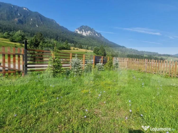 Teren Plaiul Foii, vedere spre muntii Bucegi si apa Barsa 10 - 6