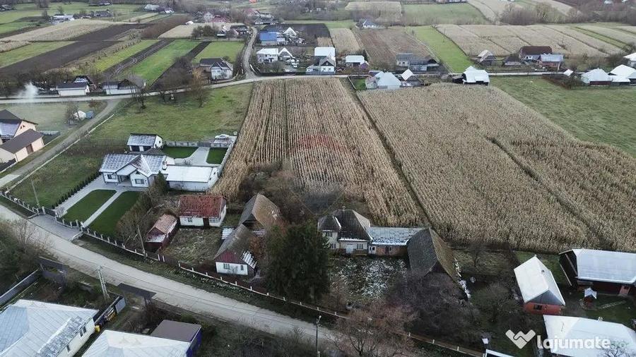 Casa de vanzare in Com Fratautii Noi - 8