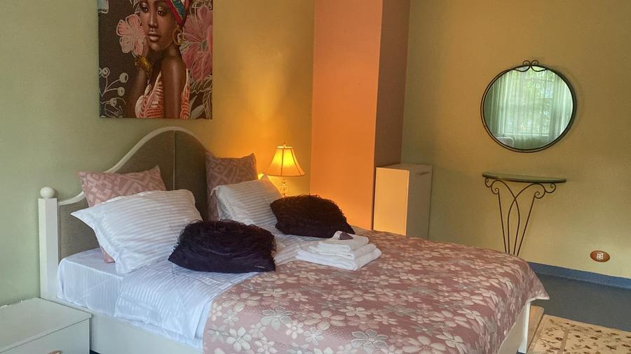 Vila individuala Victoriei pretabil birouri clinica restaurant rezidenta - 20