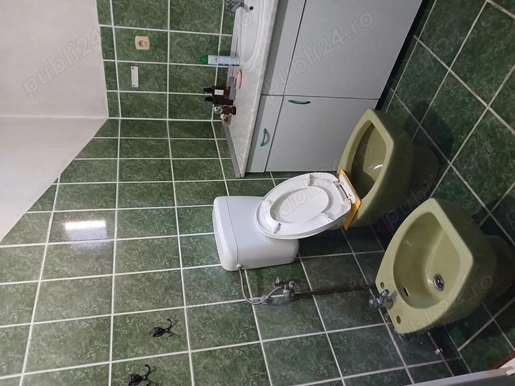 Casa de vanzare + garaj cu mansarda + anexe - 3