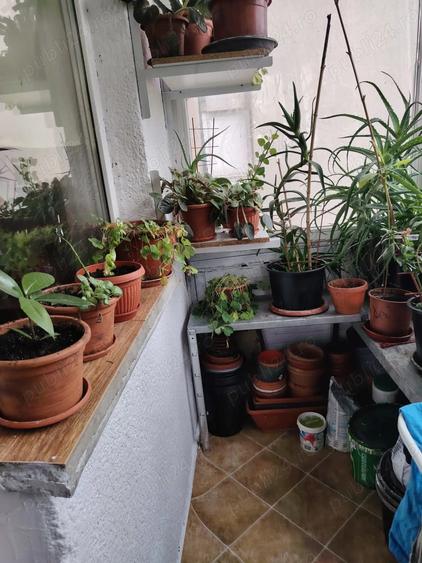 Apartament 4 camere, zona steaua etaj 1 - 7