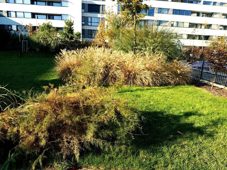 Apartament superb, 3 camere, MOBILAT si utilat - 5