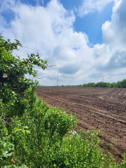 VANZARE TEREN INTRAVILAN DN1 - 6