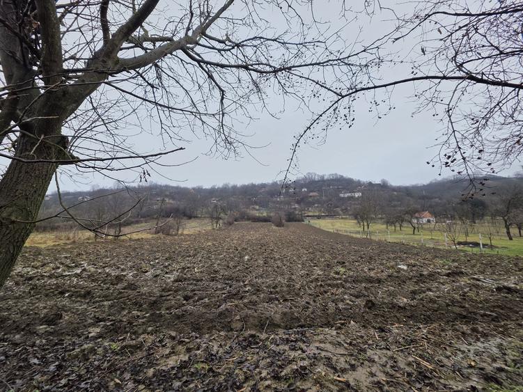 Casa si teren de vanzare - 1