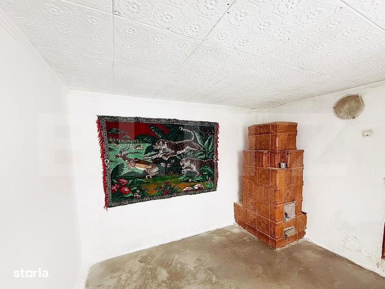 Refugiu la tara: casa traditionala , teren generos, si intimitate Cos - 10