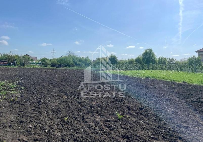 Casa individuala cu curte individuala si gradina - Zona Gai - 18