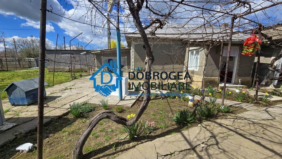 MIHAIL KOGALNICEANU-CASA BATRANEASCA ,TEREN 1975 MP - 2