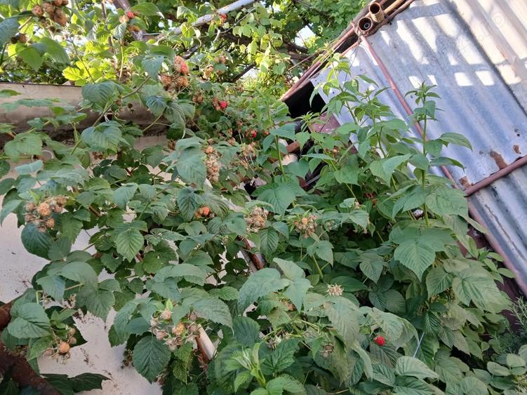 Vand imobil P+1, zona 14 Mai - 4