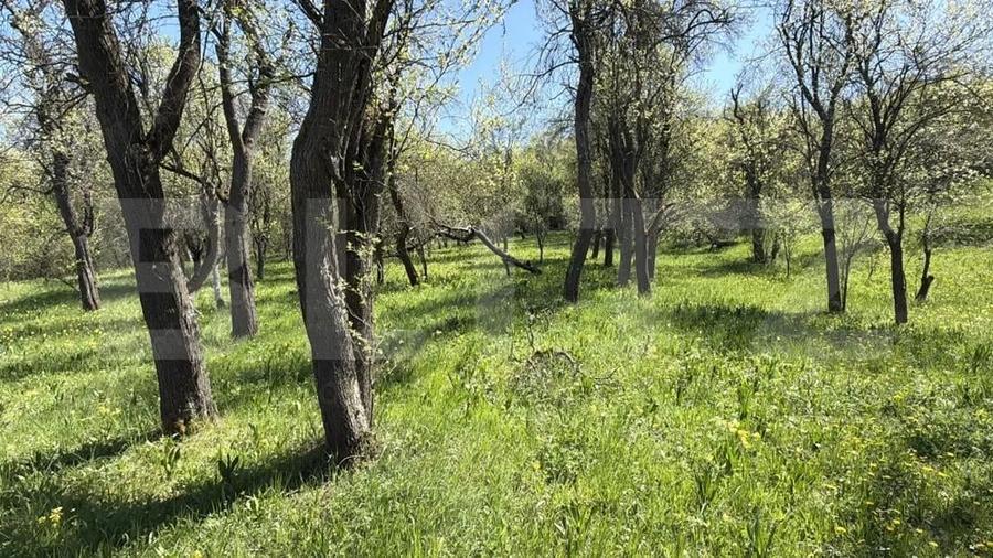 Casa cu 3 camere ?i un teren de 5000 mp - 9