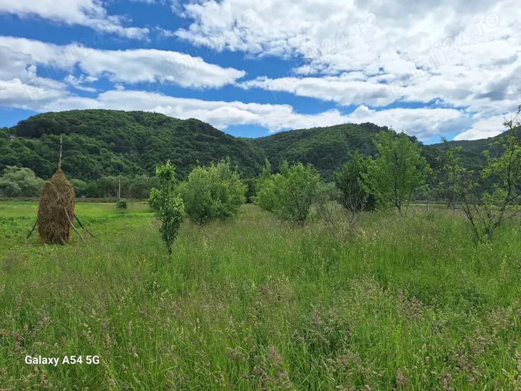 De vanzare casa si gradina 2782 mp in Rebrisoara - 4