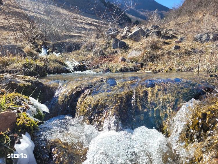 Teren intravilan 1.271 mp Izvoarele, jud. Alba - 10