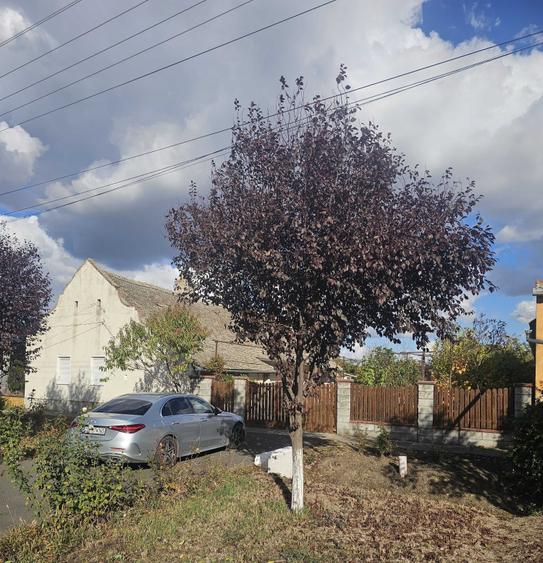 Casă cu 4 camere în Dumbrăvița