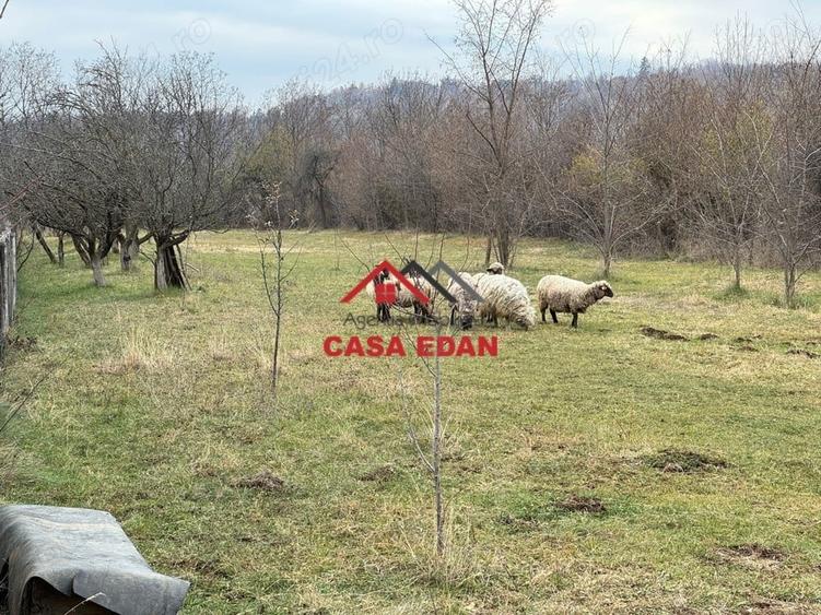 Casă cu Teren 2080 Mp în Brebu