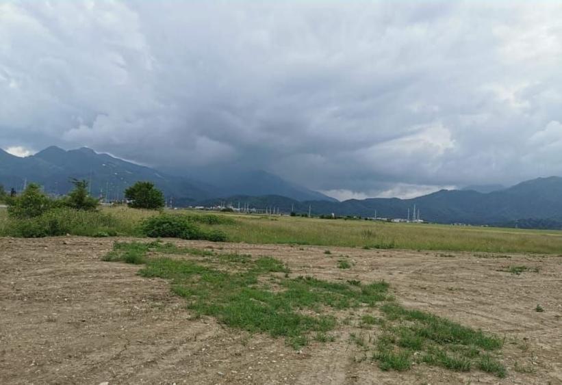 Teren Construcții intravilan de 7348 mp, în Triaj