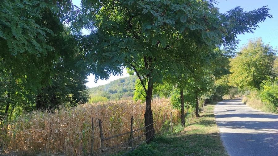 Teren de 5000 mp, în Cepari