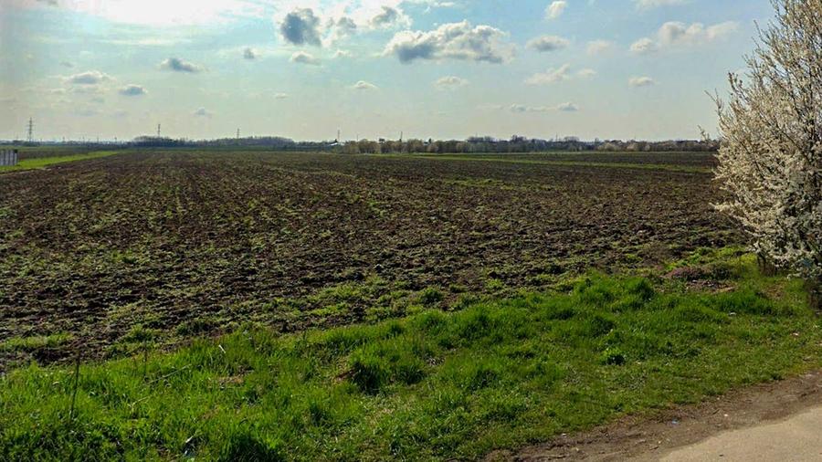 Teren Construcții intravilan de 6000 mp, în Săbăreni