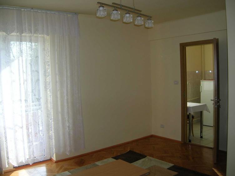 apartament 1 camera de vanzare central Podgoria - 1
