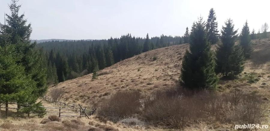Teren de 9000 mp, în Bălcești (Beliș)