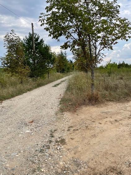 Teren Construcții intravilan de 3774 mp, în Bălteni