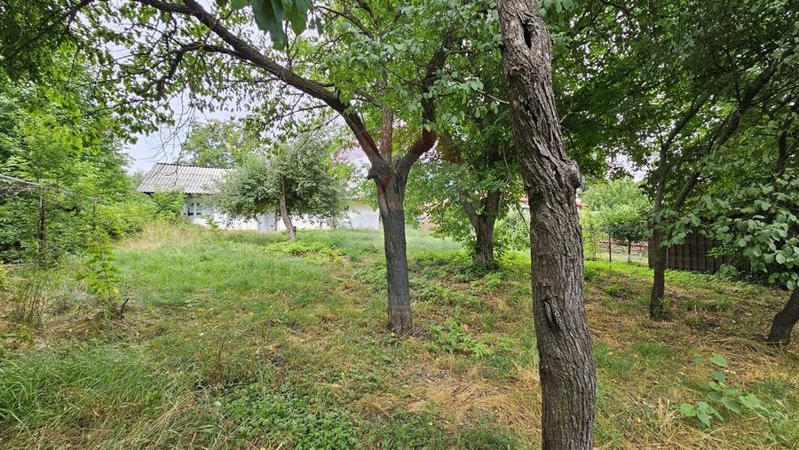 Casă individuală cu 2 camere cu Teren 9200 Mp în Pădureni (Șendriceni)