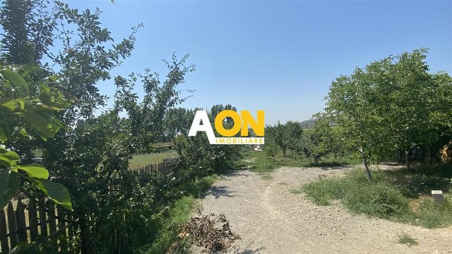 Teren de vanzare in zona Paclisa - 1