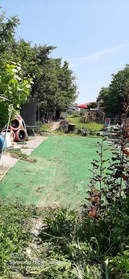 Teren 1000mp Dragomiresti-Vale - 11