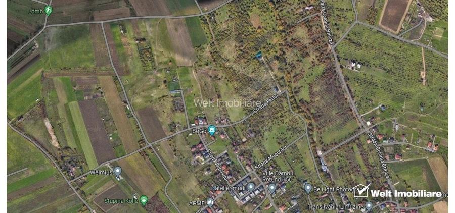 Teren Dambu Rotund 4750 mp, intravilan, UTR TDA_L, posibilitate investitie