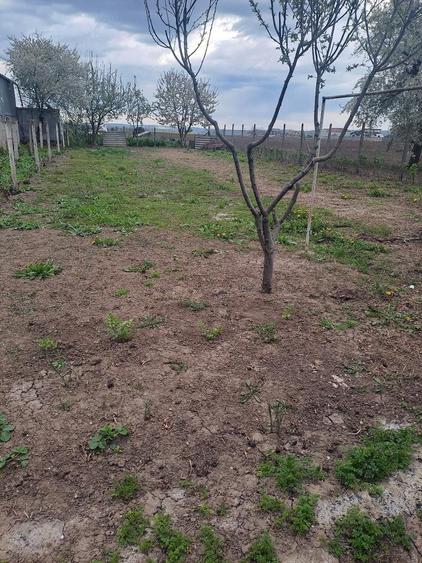 vand casa plus teren in Bogdan Voda - 5
