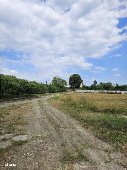 Proprietate Industriala - Productie - Industrie Alimentara - 1