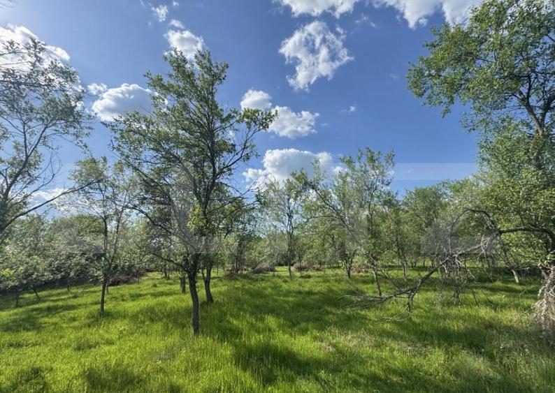 Teren intravilan de vanzare, 15080 mp, zona Tatara?ti - 4